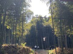 -东明山森林公园
