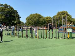 -苏州太湖西山岛开心农场