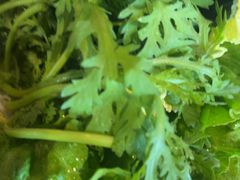 -老员外骨汤火锅(海州古城店)