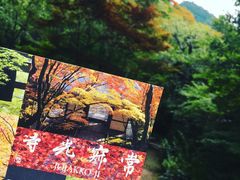 -常寂光寺