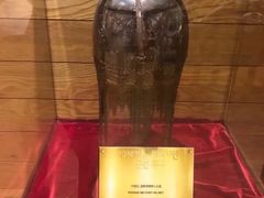 -信不信由你博物馆