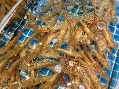 -三亚火车头万人海鲜广场