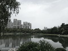 -堤角公园