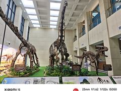 -广西壮族自治区博物馆