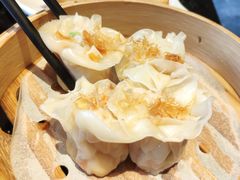 菊花烧卖-新兴·金羊座·粤菜点心(乐峰店)