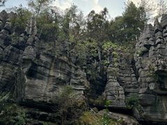 -梭布垭石林景区