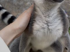 -秦皇岛野生动物园