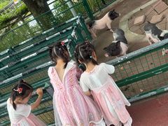 -无锡动物园·太湖欢乐园