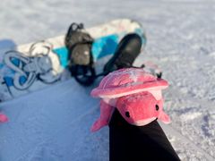 -东北亚滑雪场