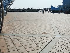 -南汇嘴观海公园