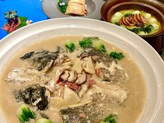 -聚丰园熊猫餐厅(紫金1912·玖爱谷店)