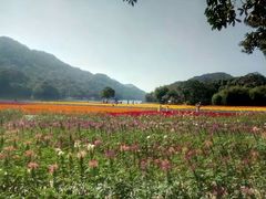 -广州市石门国家森林公园