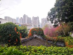 -乌山风景区