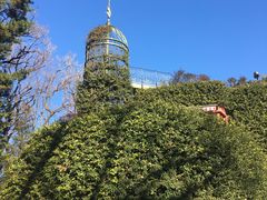 -三鹰之森吉卜力美术馆