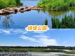 -绿堤公园