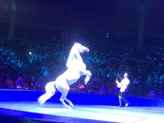 -珠海横琴长隆《卡卡虎奇遇记》