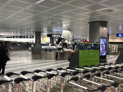 -米兰马尔彭萨国际机场