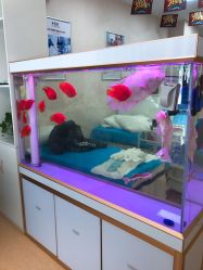 -痘庄科学祛痘国际连锁机构