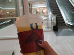 -春丽小马(济南恒隆广场店)