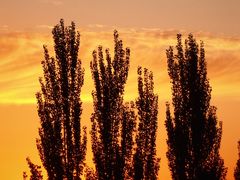 -敦煌山庄摘星阁