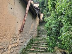 -杨家堂村