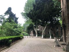 -紫金山天文台