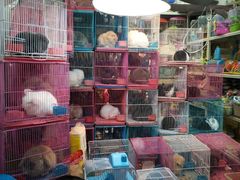 店内环境-万商花鸟市场