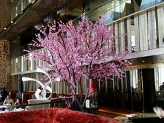 -金轩中餐厅 Jin Xuan(浦东丽思卡尔顿酒店)