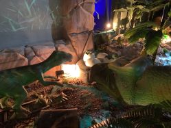 -恐龙探索乐园(磁器口店)