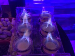 -好久不见网红乐队酒吧(鼓浪屿海底世界店)