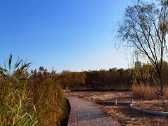 -永定河休闲森林公园