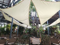 -悦见花开·花园里的火锅·露营·下午茶