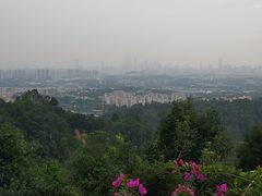 -火炉山森林公园