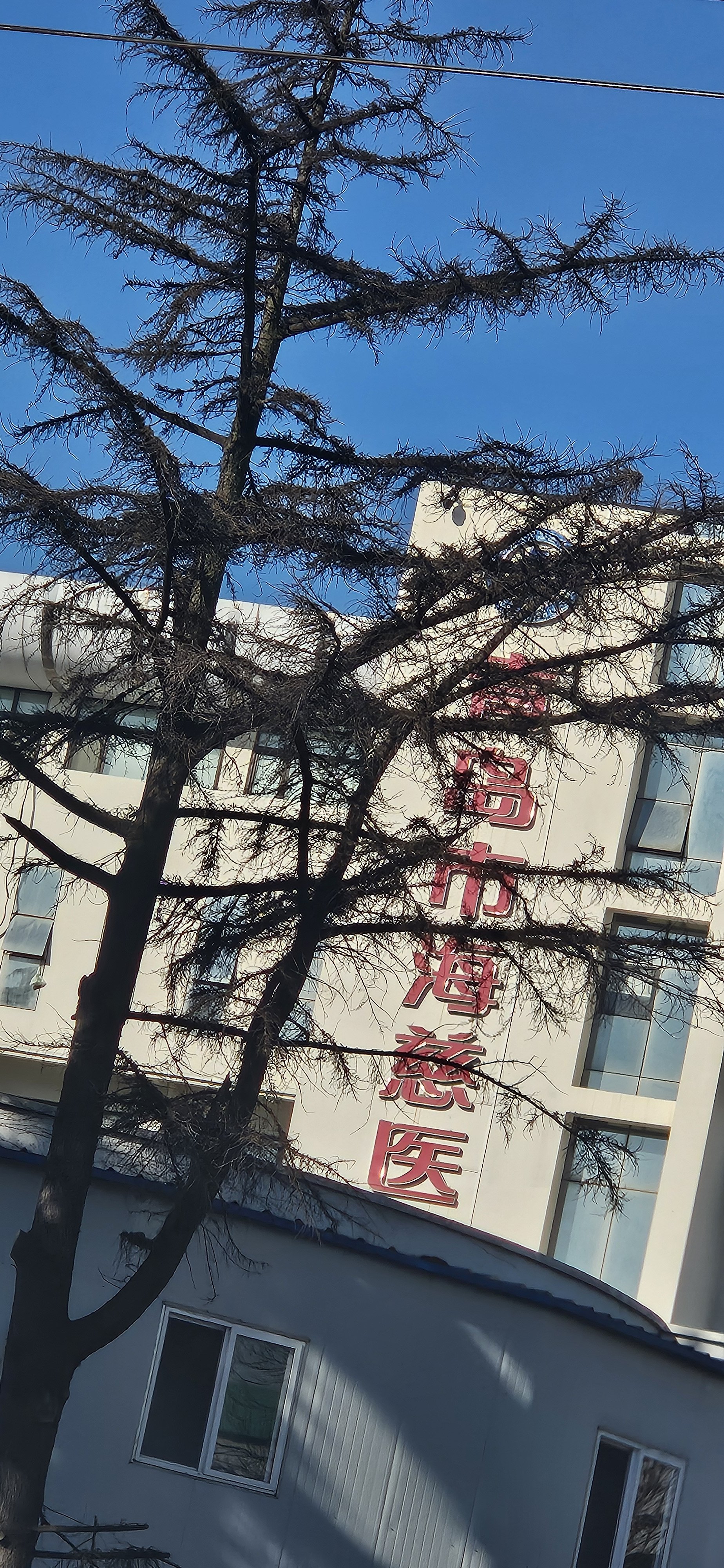 包含北京同仁医院、顺义区黄牛排队挂号，收取合理费用的词条