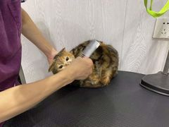 -宠颐生动物医院·小陆分院