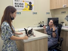 -佩兹宠物医院肿瘤专科·眼科·牙科(黄浦店)