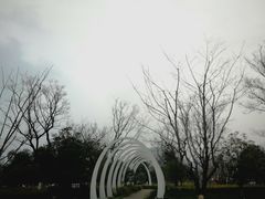 -映月湖中央公园