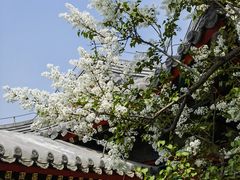 -颐和园