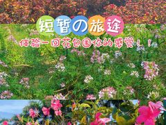 -盈香心动乐园