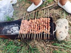 -永定河休闲森林公园