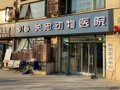 -瑞派·关忠动物医院·猫专科·犬专科(三环新城店)