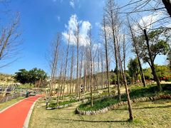 -牛岗山公园