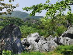-千岛湖石林