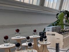 -白噪音White Noise·798概念店