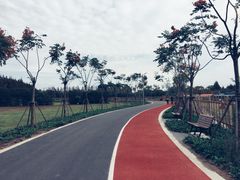 -上海长兴岛郊野公园