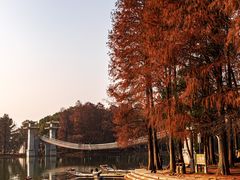 -东湖落雁景区