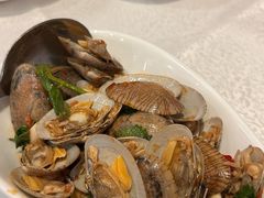 -金鮀岛潮州酒家