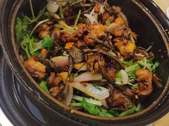 -清真重庆巴爷香辣鸡煲(南小巷店)