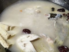 -肥鱼屯活鱼锅(惠工街店)