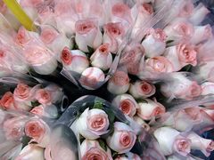 -循礼门鲜花花市(武汉循礼门店)